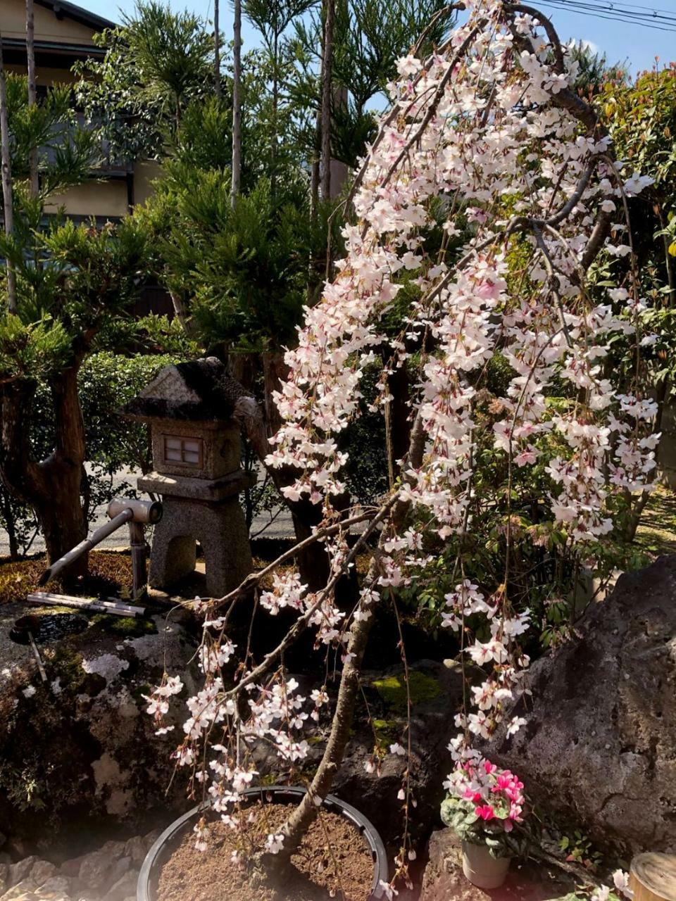 Hostel Kyoto Arashiyama Muko Exterior photo